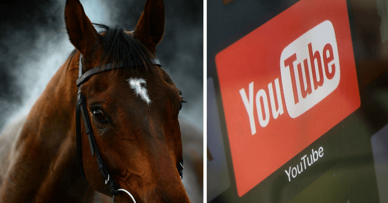 YouTube video thumbnails feature bestiality images after site promised to moderate videos