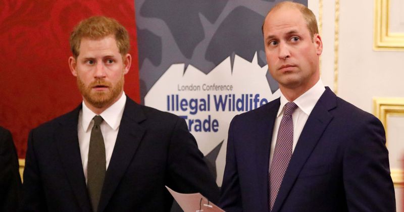 Prince William says "revenge is sweet" as he jokes about being Prince Harry's best man