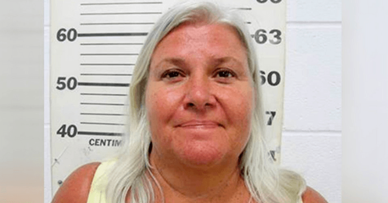 Minnesota grandmother's arrest captured in surveillance video after she killed 2