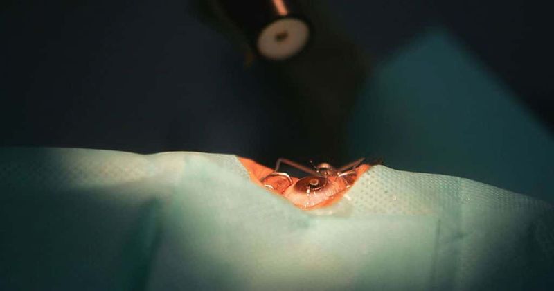 Rare eye cancer strikes dozens in North Carolina and Alabama communities