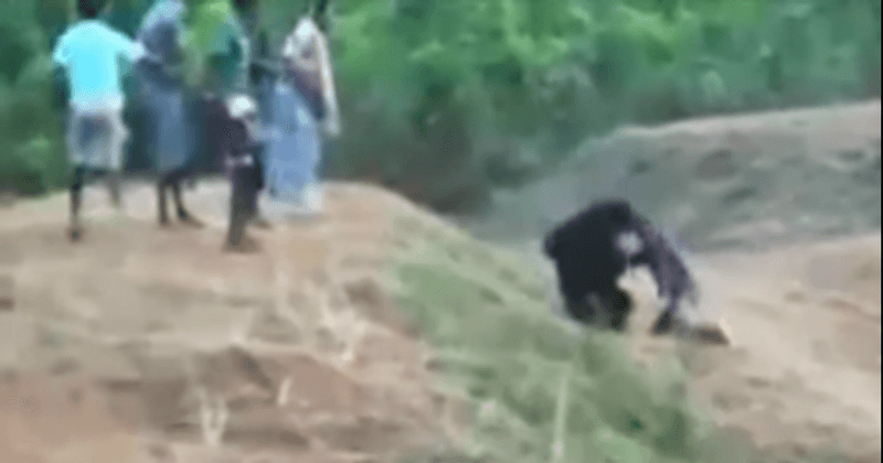 Shocking footage released of man mauled and killed by sloth bear after trying to take selfie with it