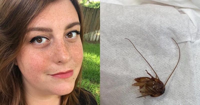 Woman got cockroach stuck in her ear in her sleep... and it took 9 days to get it out
