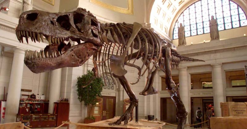 Visitors to Red Fleet State Park destroy valuable dinosaur tracks by chucking them into lake