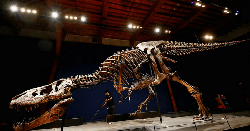 Visitors to Red Fleet State Park destroy valuable dinosaur tracks by chucking them into lake