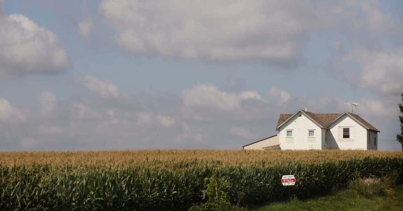 Search on for girl missing since 1979, authorities believe Michigan farm could be burial sight for four other teenage girls