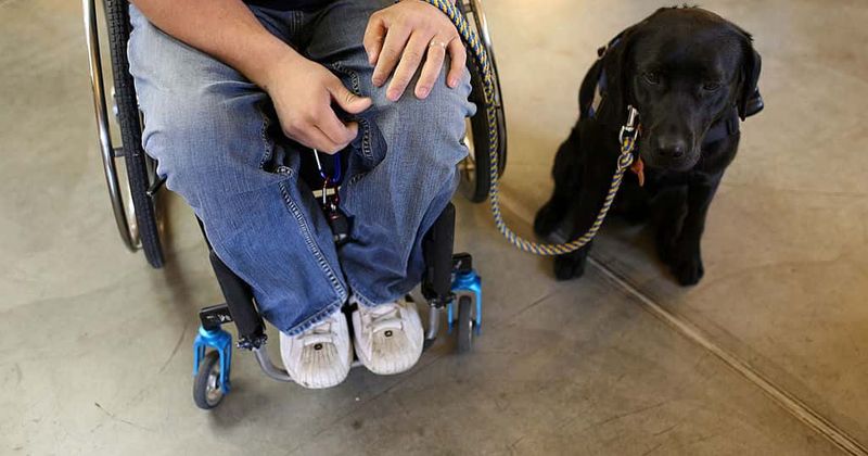 Man paralyzed from neck down walks down the aisle with his dream girl