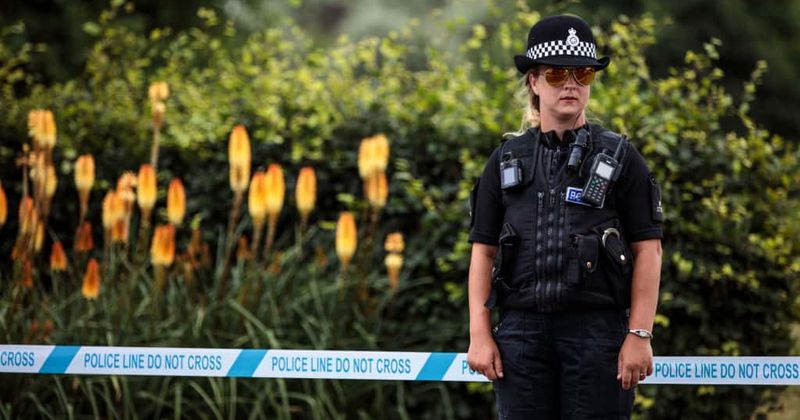 'Poster Girl' police sergeant live-streams herself playing video games in skimpy outfits