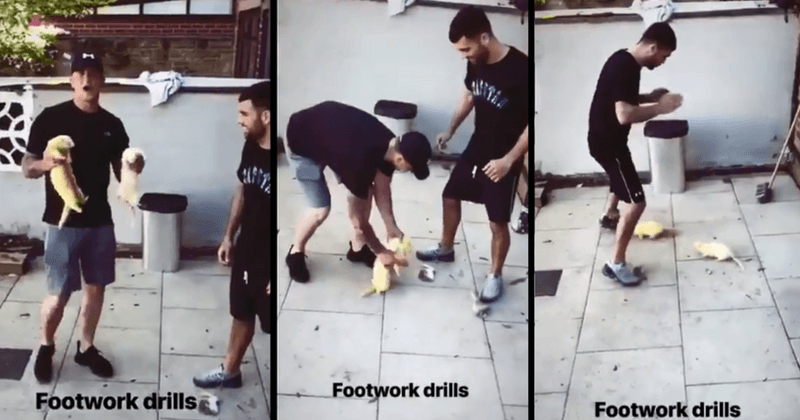 British boxing champ Jack Catterall condemned for standing on ferret during strange footwork training exercise
