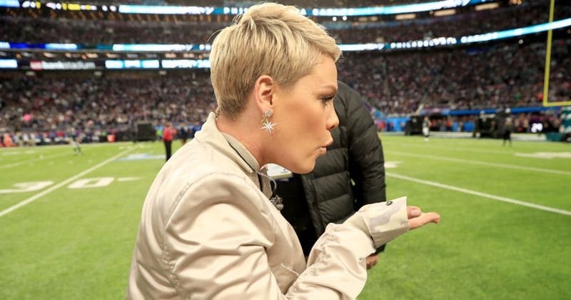 Pink shuts down troll who said she’s ‘so old,’ her name should be ‘Purple’