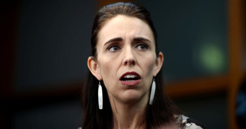 Macho much? New Zealand PM's partner "fights off" a harmless whale shark with a pole while "dolphins watch"!