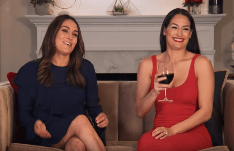 Nikki and Brie (Source: YouTube)