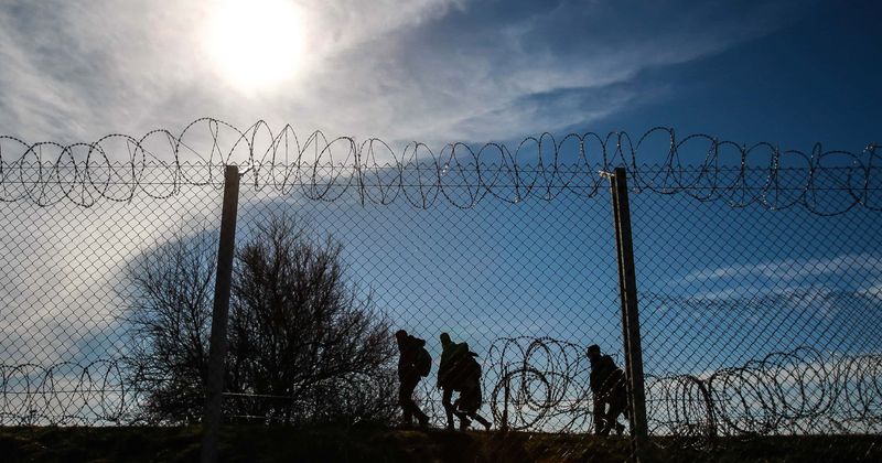 Border Patrol agent under fire for questioning two US citizens in Montana for speaking in Spanish