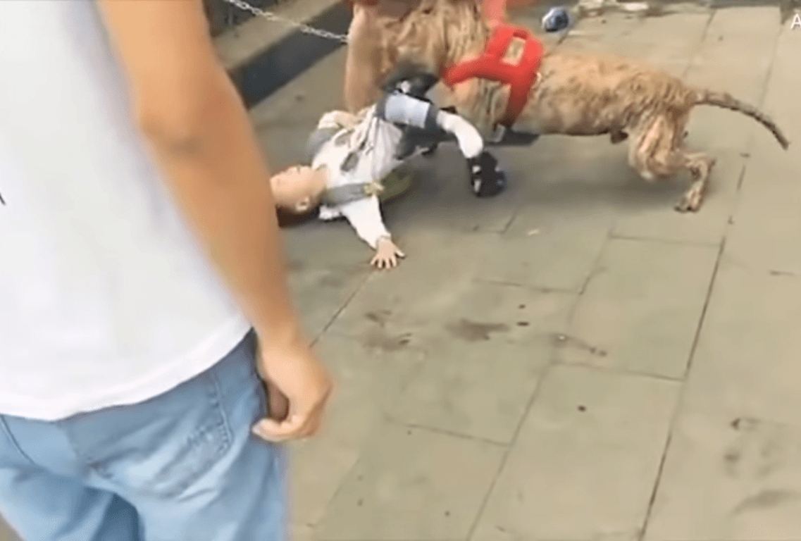 The boy suffered bleeding holes on his leg. (Youtube)