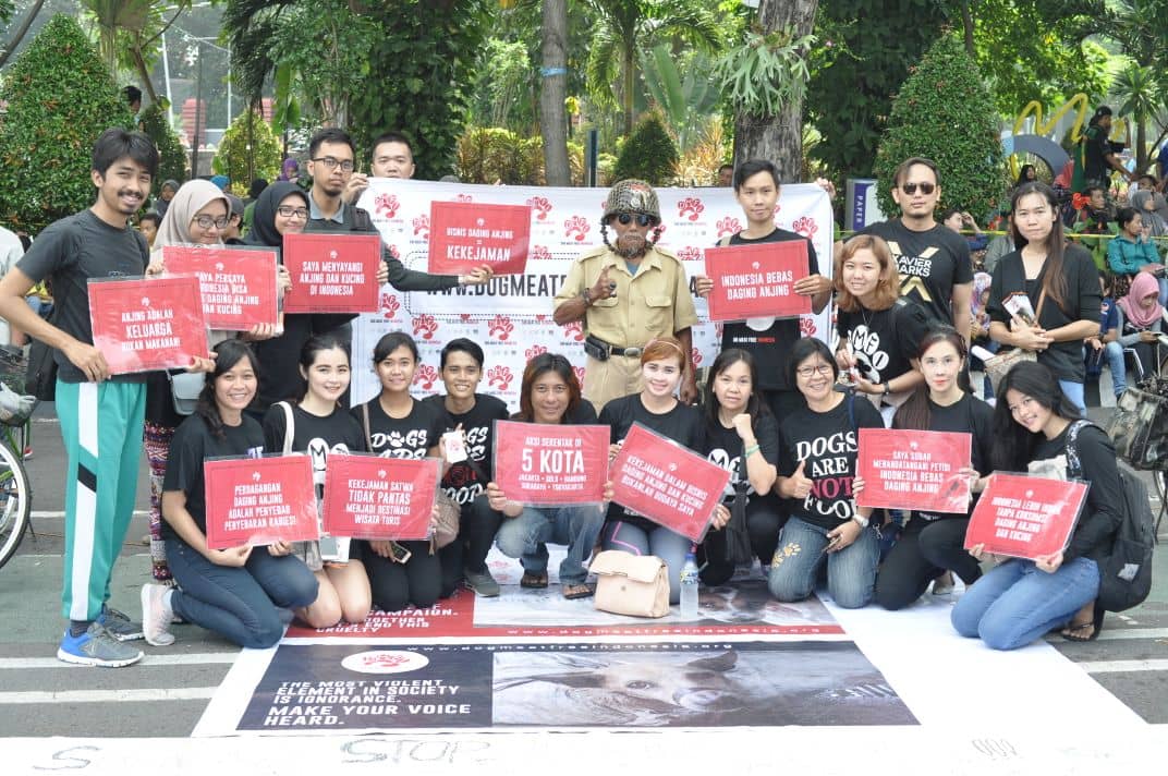 The campaign, called Dog Meat Free Indonesia (DMFI) coalition comprises of an Indonesian non-profit called Animal Friends Jogja, Change for Animals Foundation, Humane Society International, Jakarta Animal Aid Network and FOUR PAWS, an international animal charity.(DMFI)