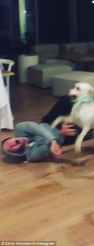 Screenshot of Chris Hemsworth's performance