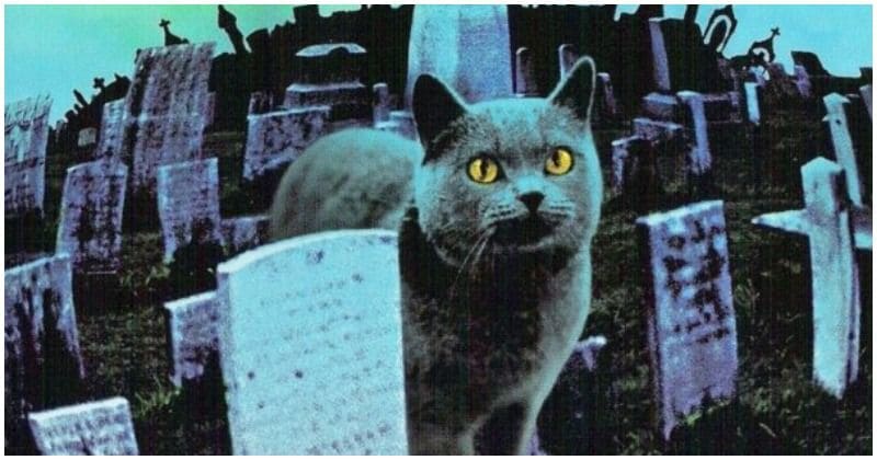 Movie adaptation of Stephen King's 'Pet Sematary' to release on April 5, 2019
