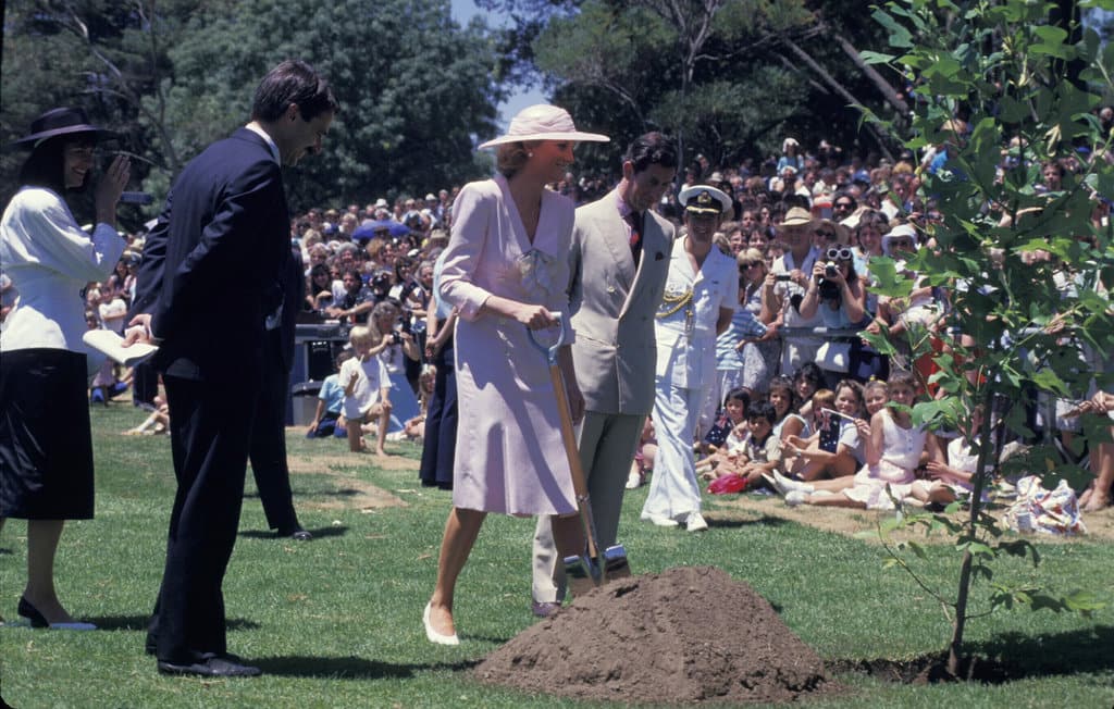 Instead of explaining to Diana at the outset that Camilla was an old girlfriend, Charles had presented her as nothing more than a friend (Photo by Patrick Riviere/Getty Images)