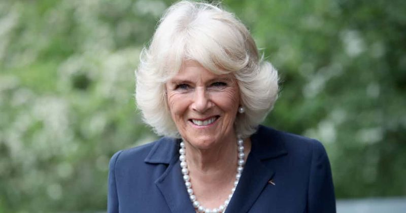 New footage reveals Princess Diana was very upset by Camilla's presence at her wedding with Prince Charles