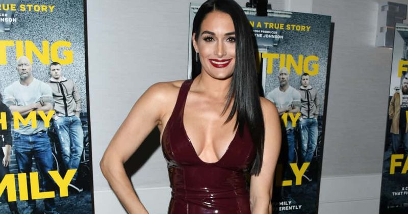 Pics! Nikki Bella celebrates Memorial Day by stripping down to raunchy lingerie in sexy Instagram post