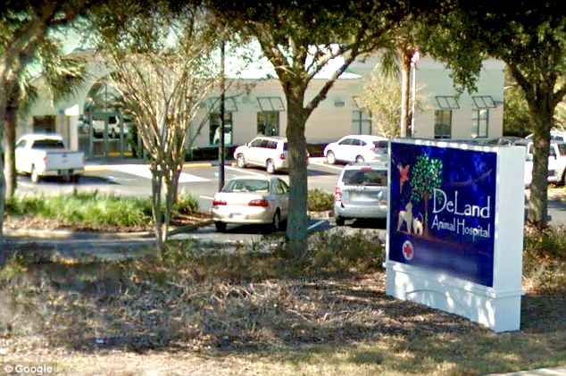 Reichle was able to convince her boyfriend that she had to take her dog to the DeLand Animal Hospital. Floyd allowed her to do that, but the 39-year-old, a convicted felon, insisted on going along with her. (Google Maps)