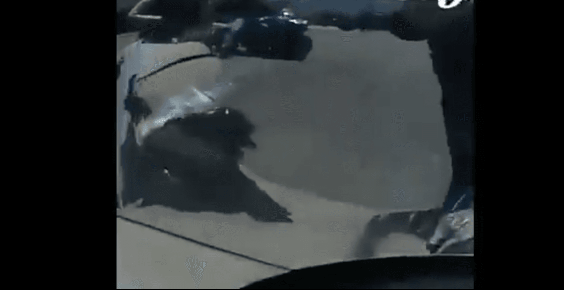 Screenshot of the video shows a dent made in the police patrol car. (Twitter/screenshot)