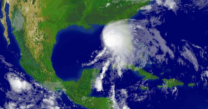 TV crew killed by falling tree while reporting on harrowing Storm Alberto