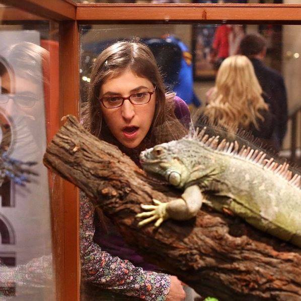 Bialik stars as Sheldon's love interest, Amy on The Big Bang Theory (CBS)