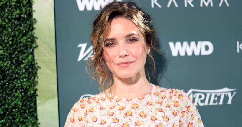 Sophia Bush shares how she reacted to finding out she was being cast in Incredibles 2 and it's all sorts of cool
