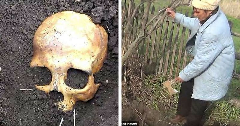 "Don't worry, it's my first husband!" Wife tells new husband after he digs up human skull while planting potatoes in backyard