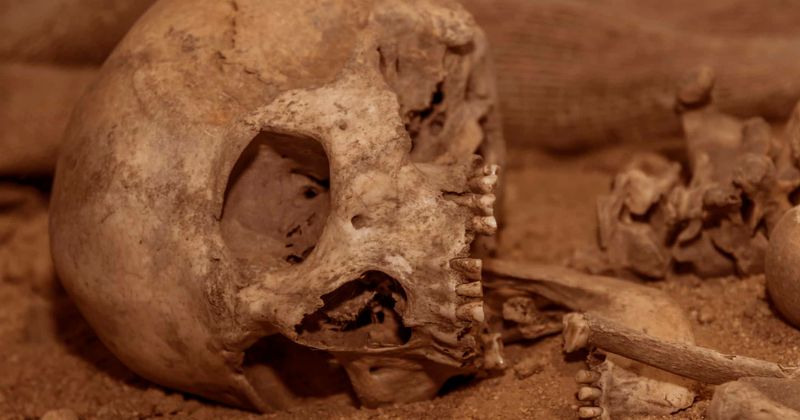 "Don't worry, it's my first husband!" Wife tells new husband after he digs up human skull while planting potatoes in backyard