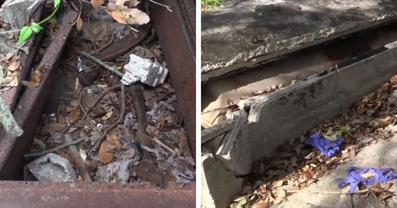 Voodoo priests and grave robbers steal bones and topple headstones from historical cemeteries in Miami