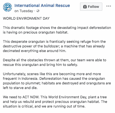 The message written by IAR along with the video. (Facebook)