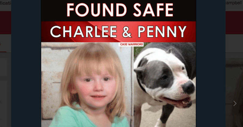Family dog stays with two-year-old who went missing in the woods for two days until she is found