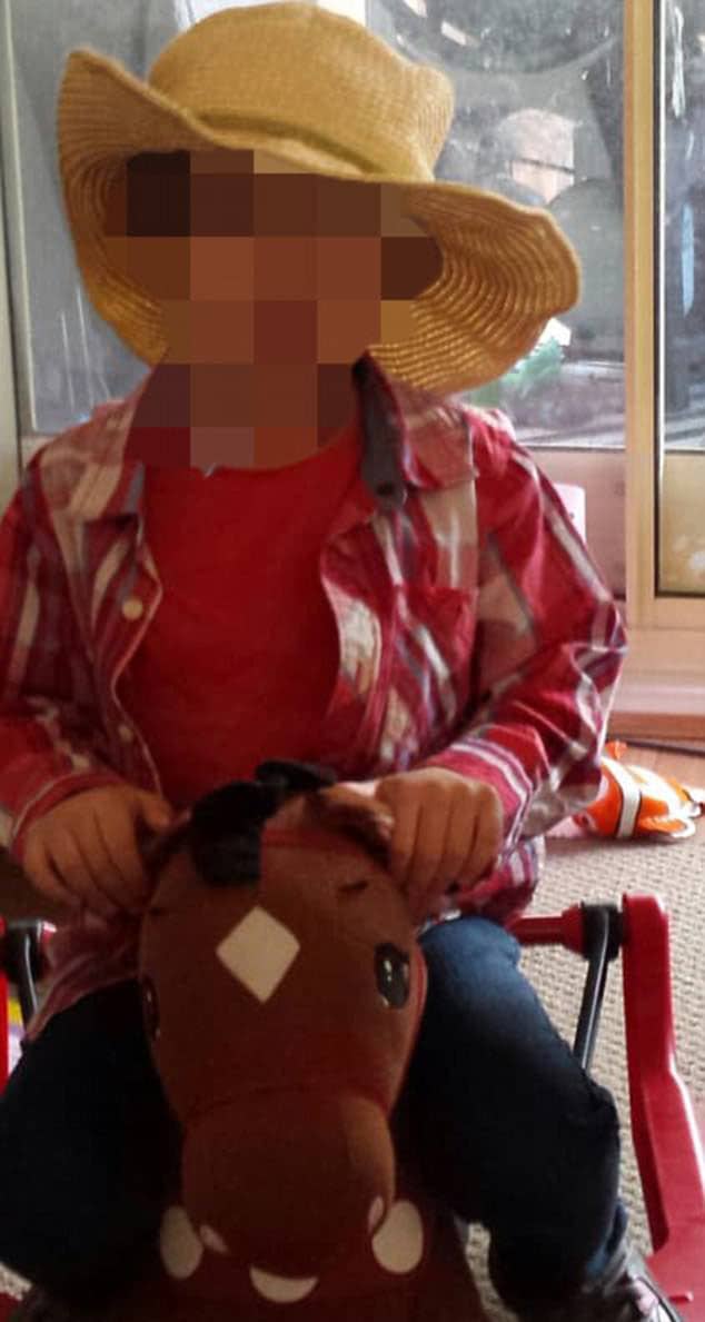 The authorities only had words of praise for the grandmother's act of bravery (Facebook)