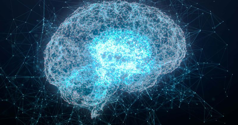 IQ scores of young people are dropping by seven points every generation, research shows