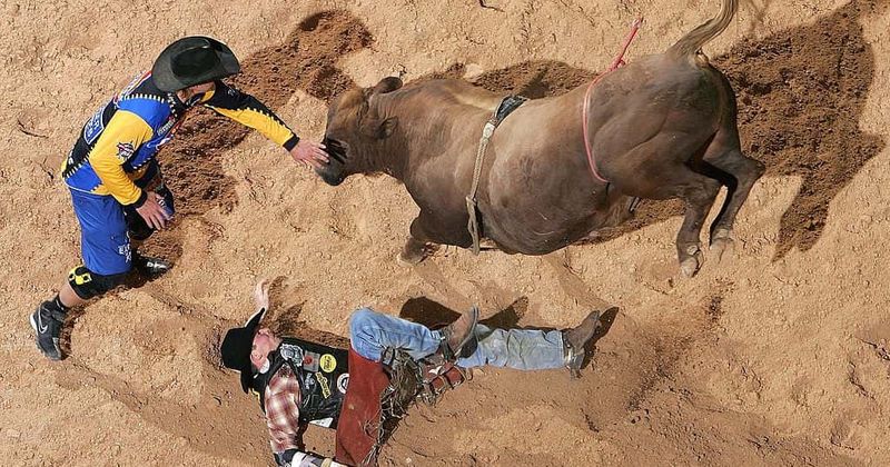 Bullfighter who practiced non-violent version of sport gored to death while trying to rescue a friend