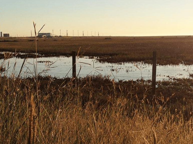 The infamous "Killing Field" next to the Texas I-45 (Twitter)