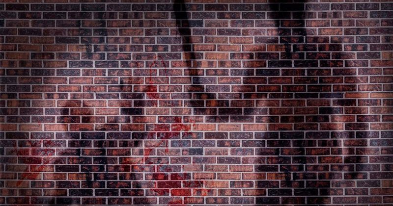 Hours after posting selfie on Snapchat, woman is brutally dismembered as Tinder date goes wrong
