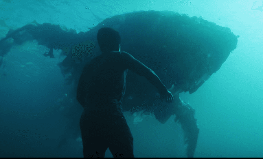 Board is seen alongside a plastic whale in the video. (YouTube)