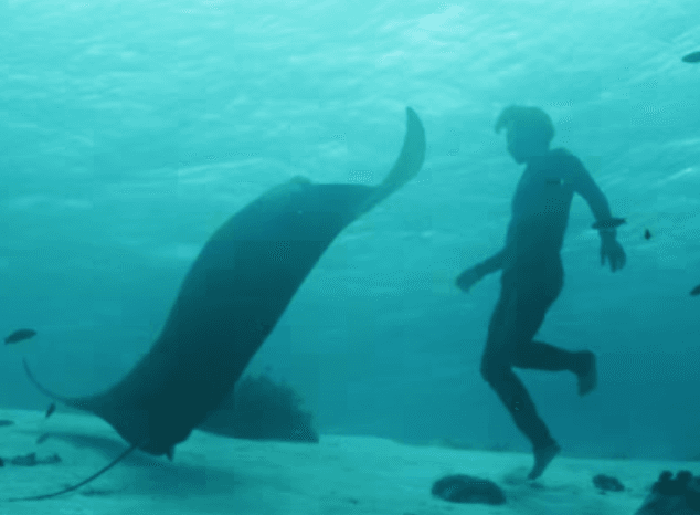 'Birthplace' highlights the monolithic problems in the ocean. (YouTube)