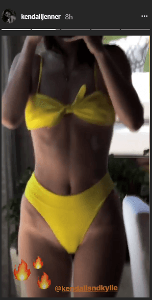 Kendall Jenner showed off her curves (Instagram)