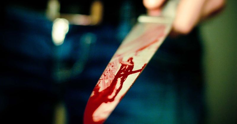 Author Blake Leibel sentenced to life in prison for mutilating and draining the blood from his fiancée's body before killing her