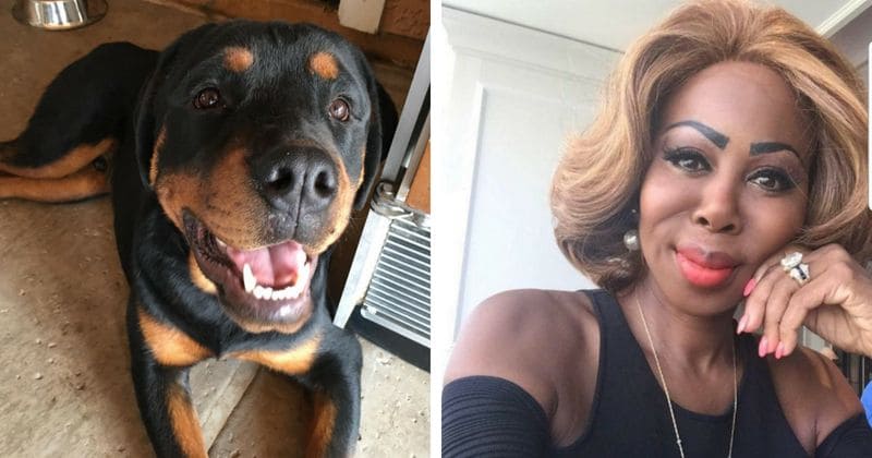 "This b**** will never see a penny" U-Haul billionaire's wife won't pay medical costs for 7 sick dogs she abandoned at rescue center