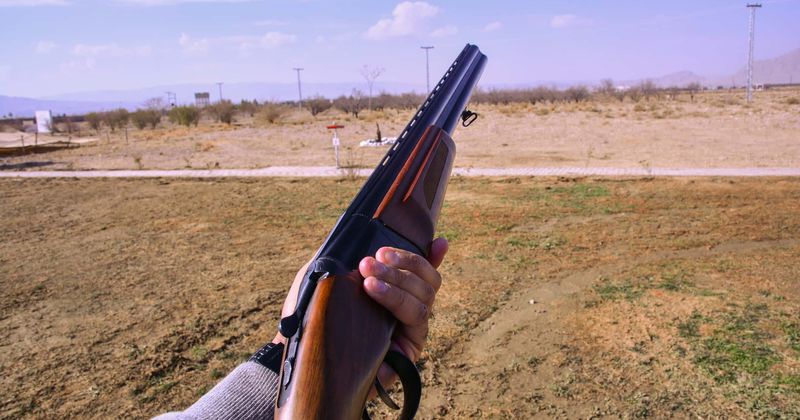 Hunter who shot dead rare black giraffe justifies the killing, says it was for conservation