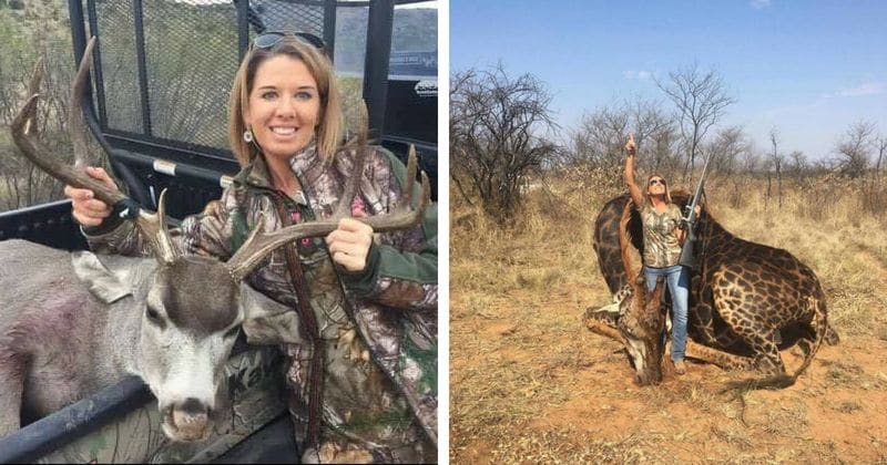 Hunter who shot dead rare black giraffe justifies the killing, says it was for conservation