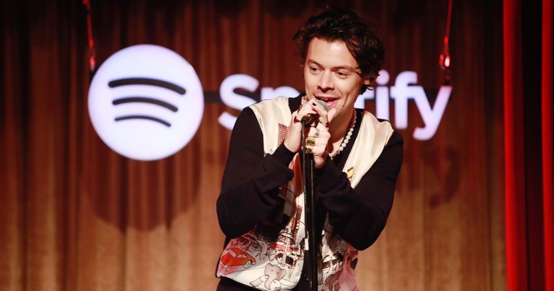 Harry Styles' flying instructor was killed in a plane crash, along with his son's 25-year-old friend