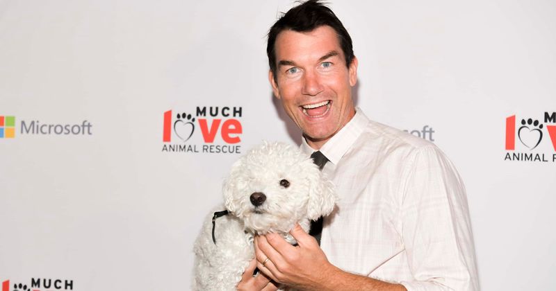 Jerry O'Connell to executive produce and star in Bravo talk show 'Real Men Watch Bravo'