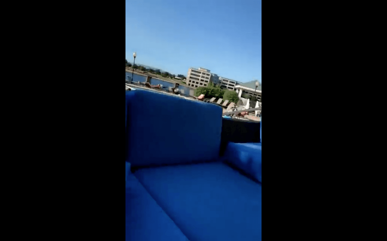 Other white people can be seen punging by the pool in a screenshot of Holland's video. (Twitter)