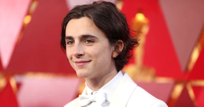 Timothee Chalamet in talks to star in Denis Villeneuve's adaptation of 'Dune'