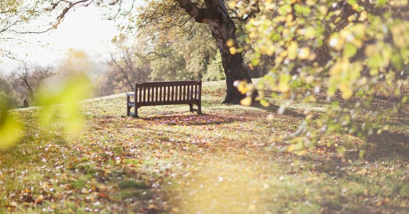 Strangers fund park bench to commemorate teen who was brutally raped, dismembered 20 years ago